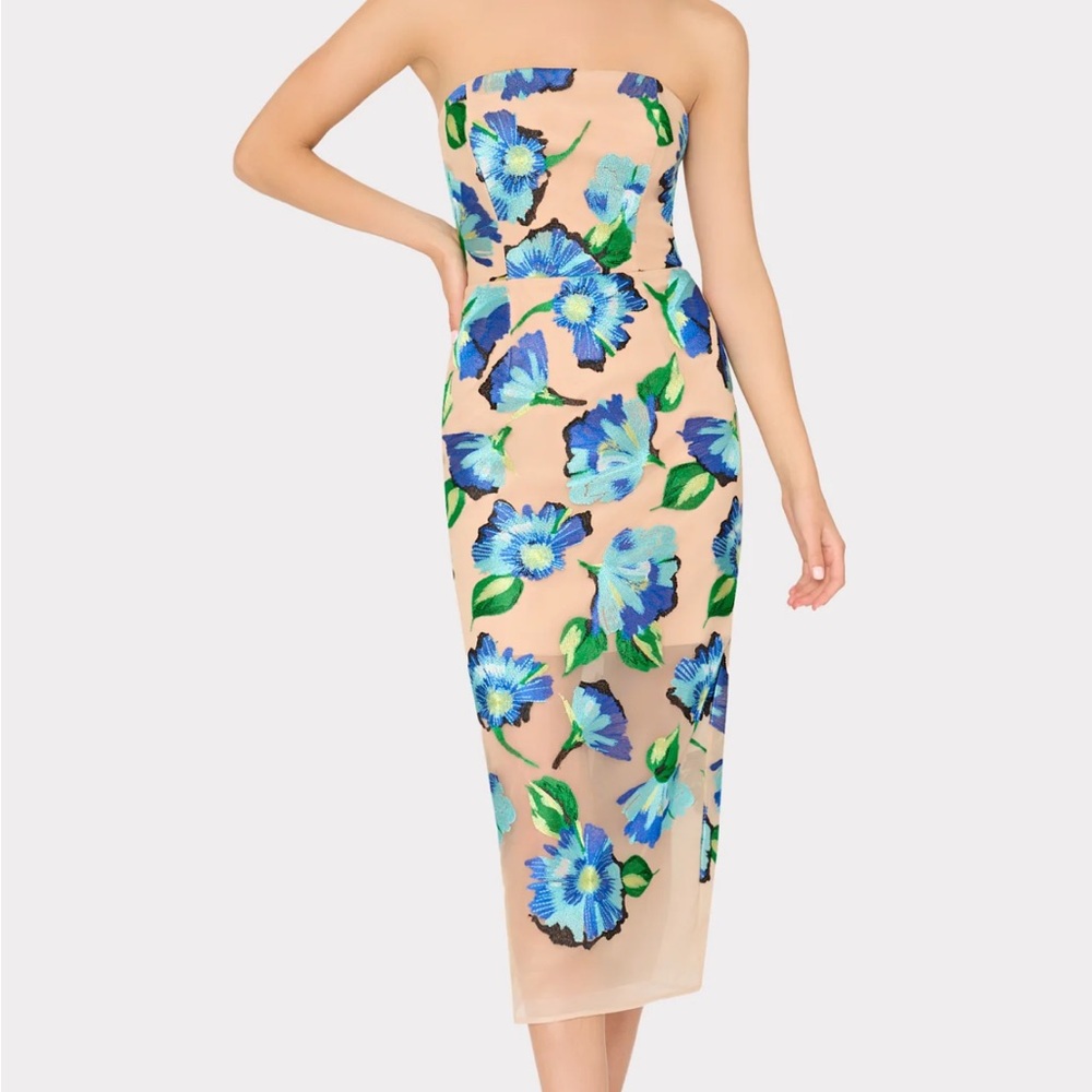 Milly Poppy Strapless Dress